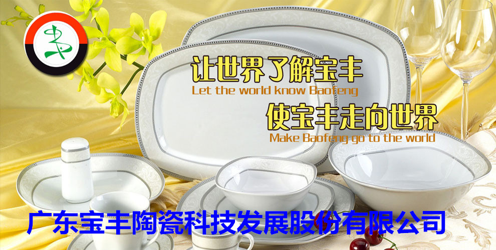 廣東寶豐陶瓷科技發(fā)展股份有限公司成立于2003年，占地總面積5萬(wàn)平方米，建筑面積3萬(wàn)平方米，2004年10月建成投產(chǎn)?，F(xiàn)擁有兩條先進(jìn)遂道窯生產(chǎn)線(xiàn),主要生產(chǎn)中高檔日用陶瓷，產(chǎn)品遠(yuǎn)銷(xiāo)歐美，東南亞等國(guó)家。